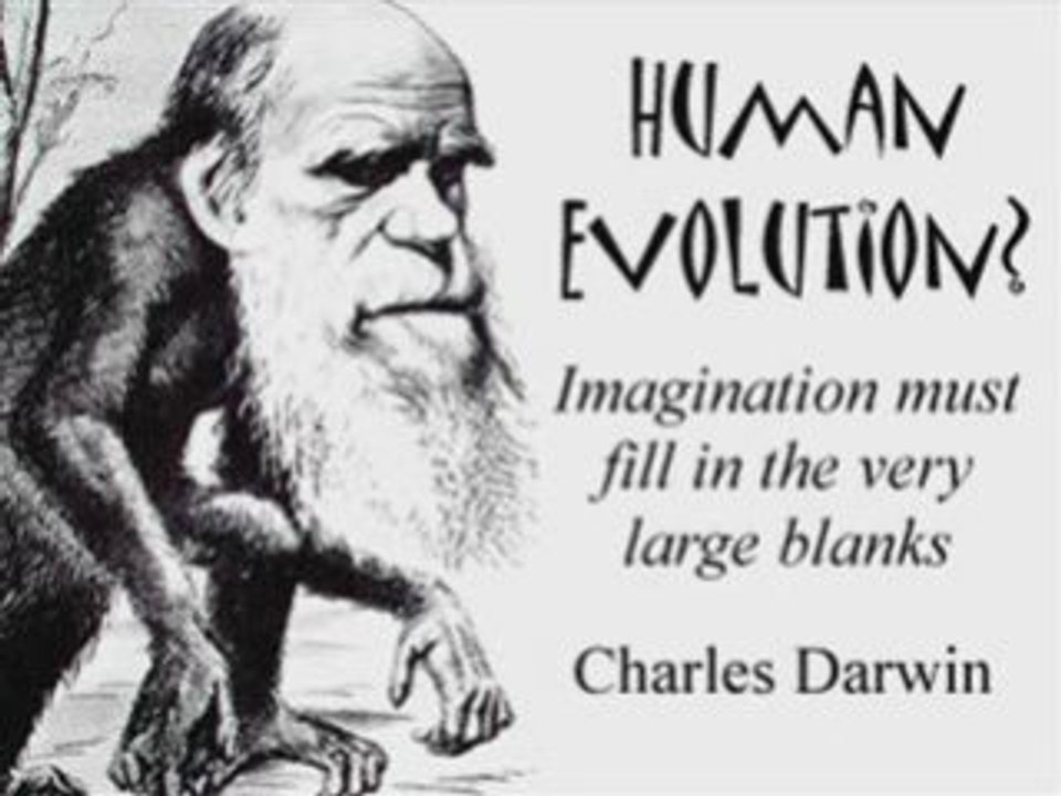 Human evolution