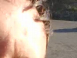 saut a vélo doelan 2008