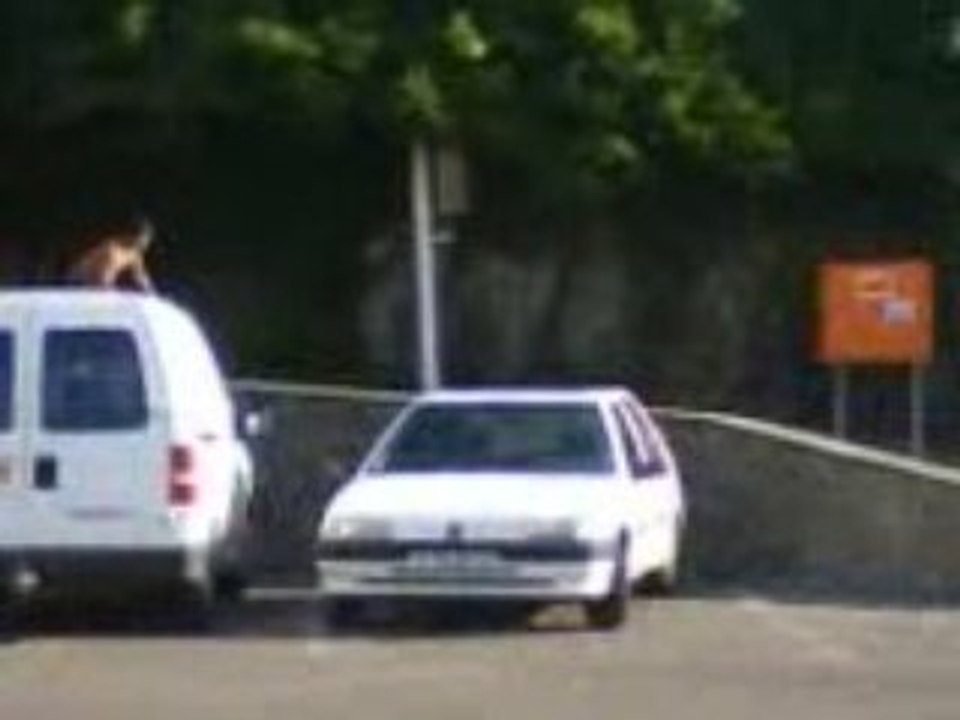 doelan 2008