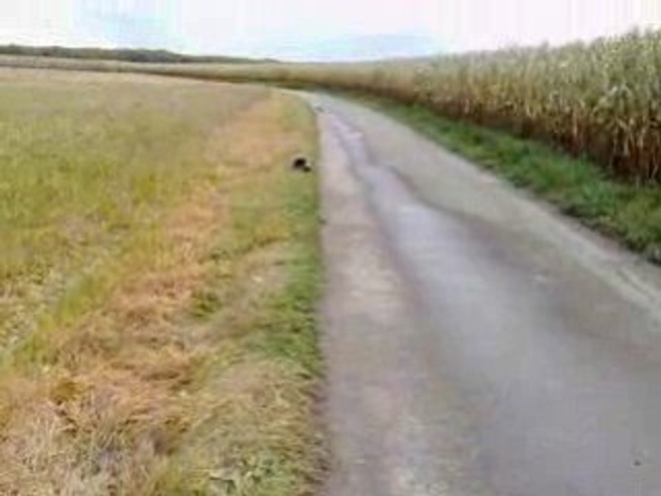 derbi drd racing limited n613