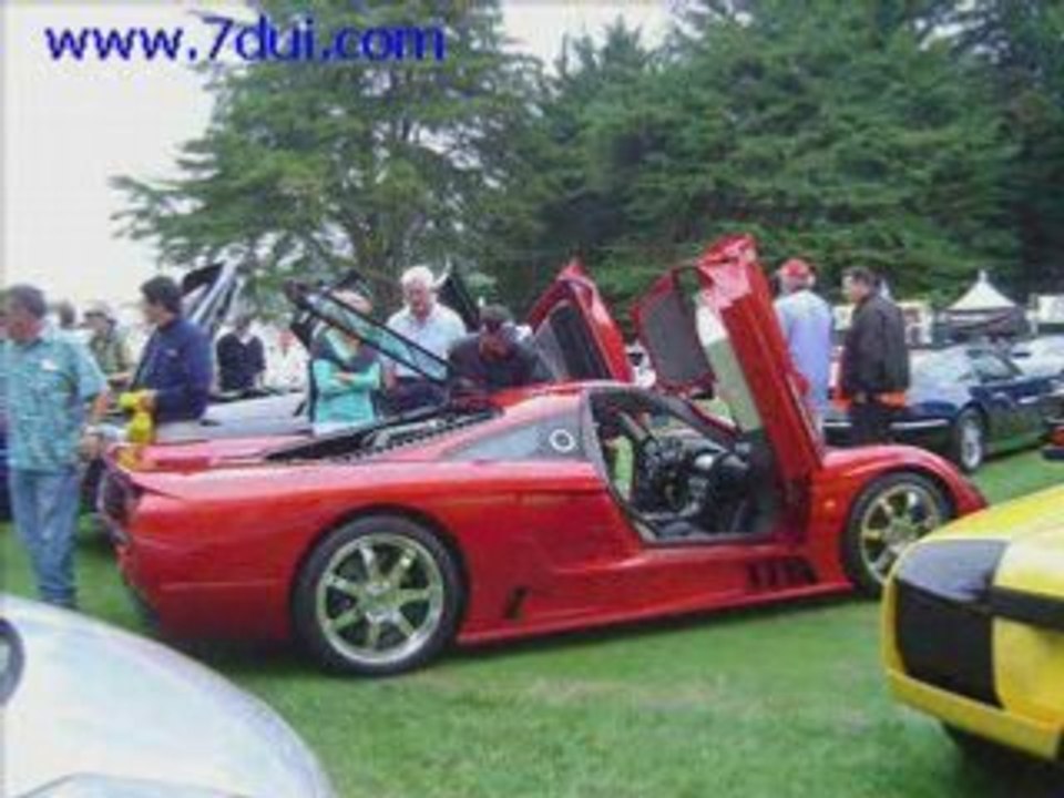 16Exotic car and beautiful women