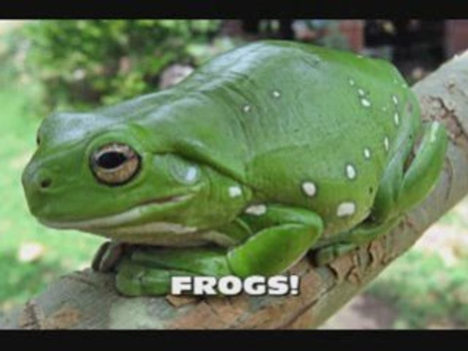 Claim my prize - Products of Monkey Love