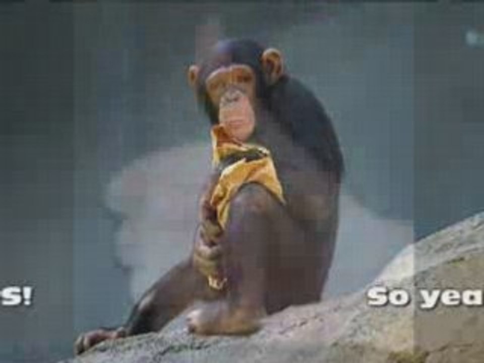 Evolution - Products of Monkey Love