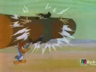 Pica Pau (episódio n° 080)