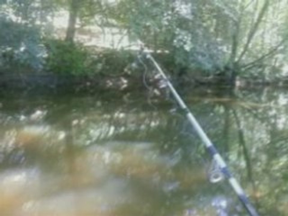 Lieu de pêche