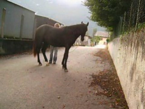 Déplacement des hanches