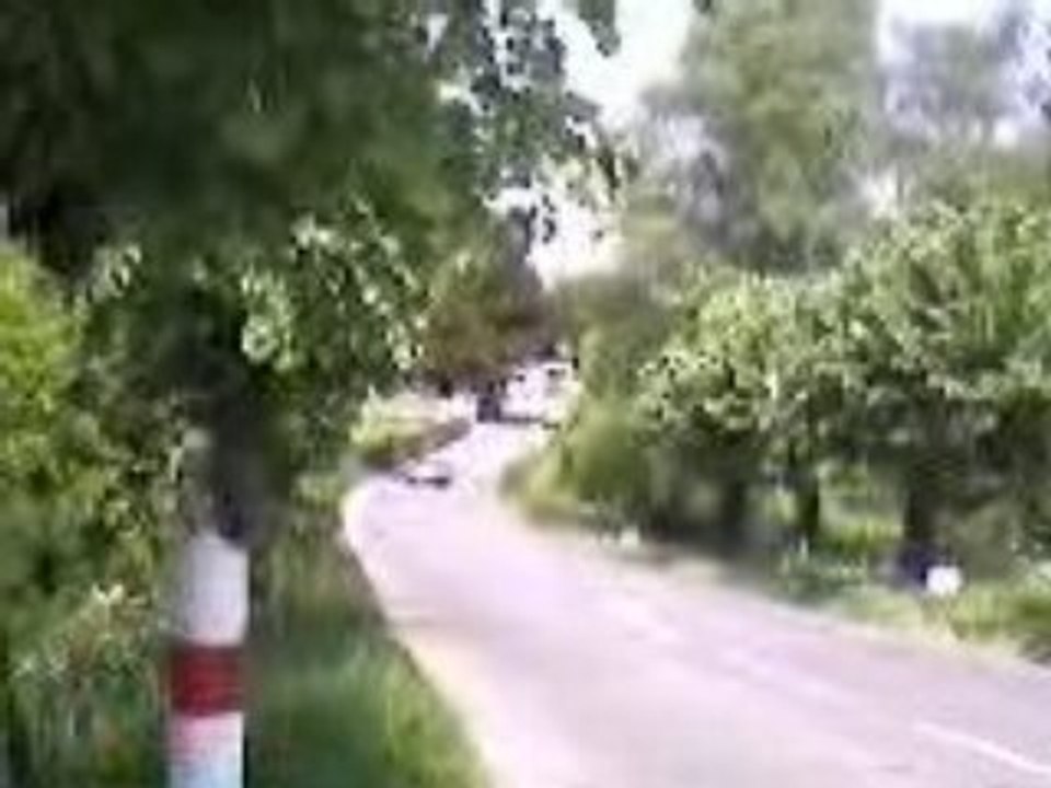 Voiture bryante