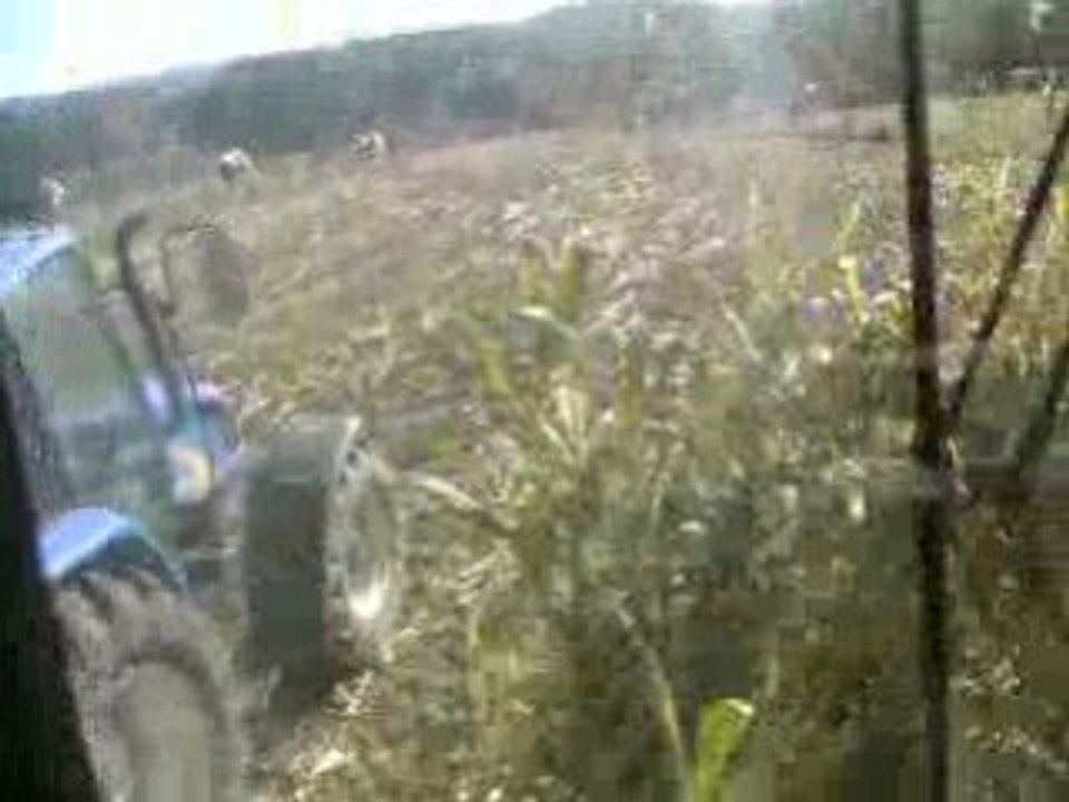 ensilage 2008 part 3