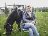 Pony reiten in Leipzig