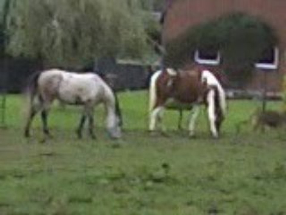 Vidéo-0002