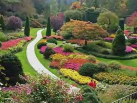 Roch Voisine ~ Apothéose