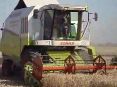 claas medıon 310