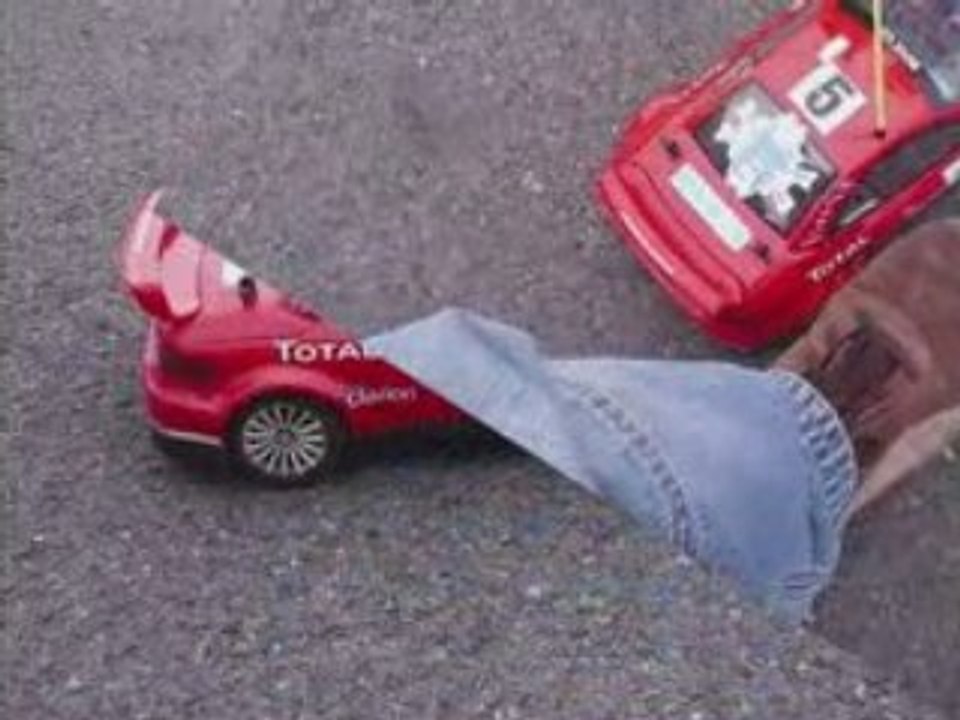 Team Nikko Evolution