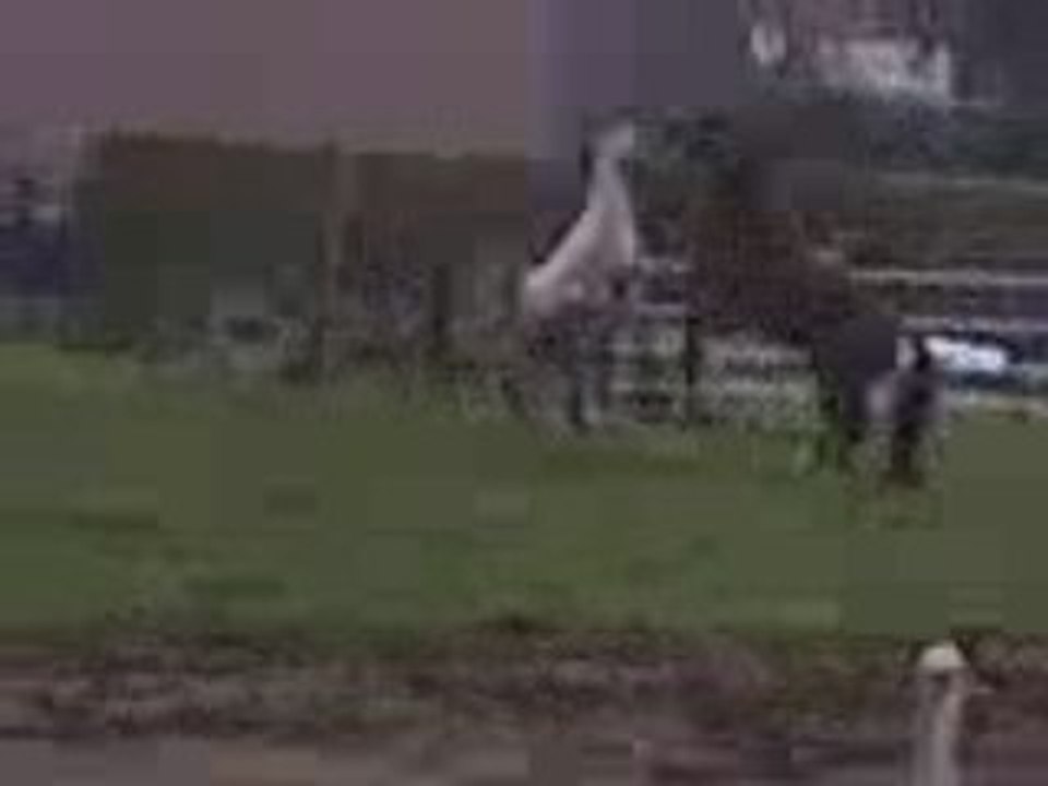 Vidéo-0007