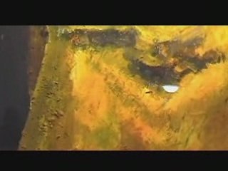 Vernissage de l'exposition de Patrick Pavan à la Galerie des Carmes, Toulouse