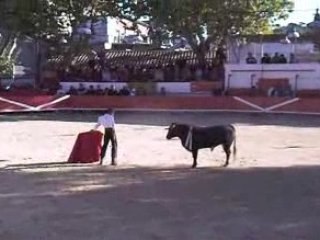 Demi finale graine de torero 2008: Générac