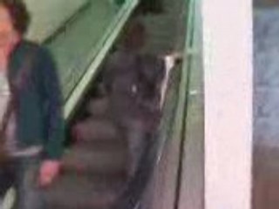 Vidéo0036