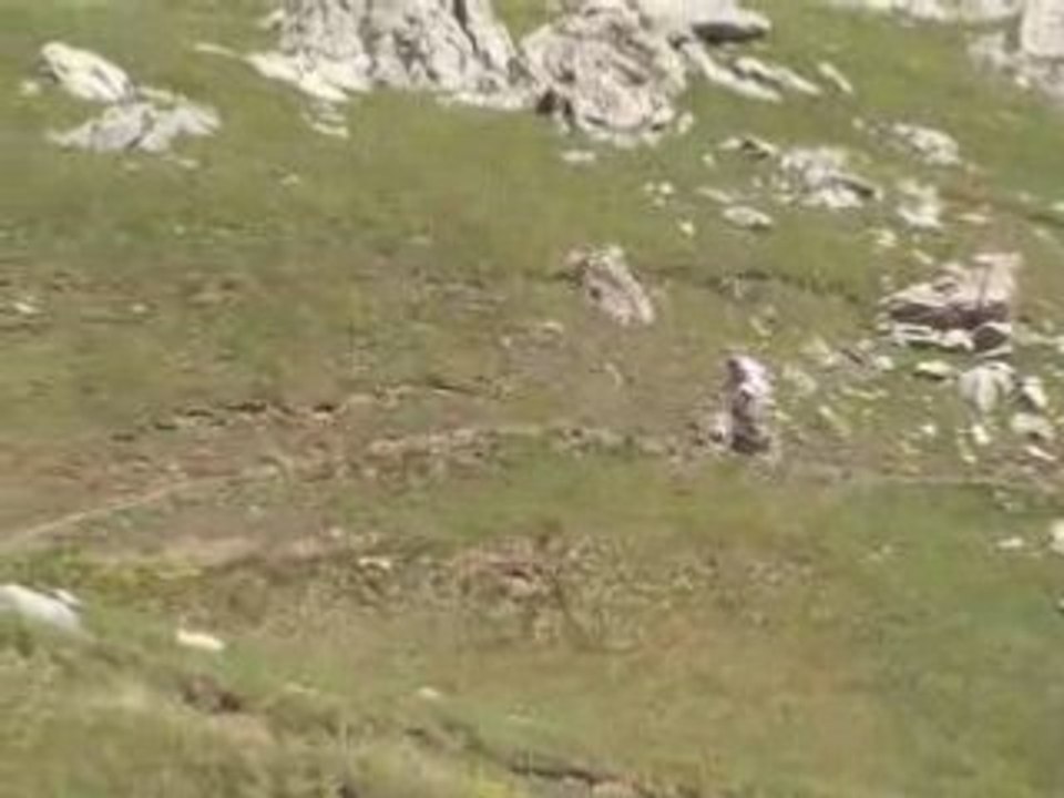 clément vtt freeride