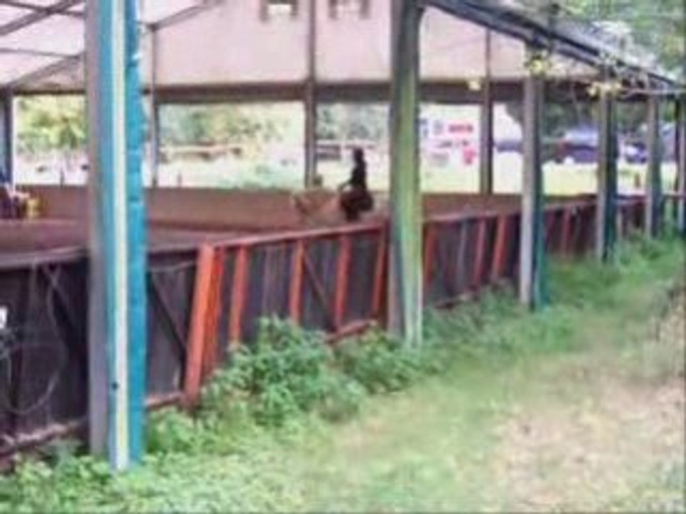 reprise Club 2 Grand prix