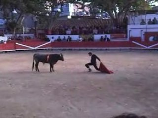 Demi finale graine de torero 2008: Générac 5e toro