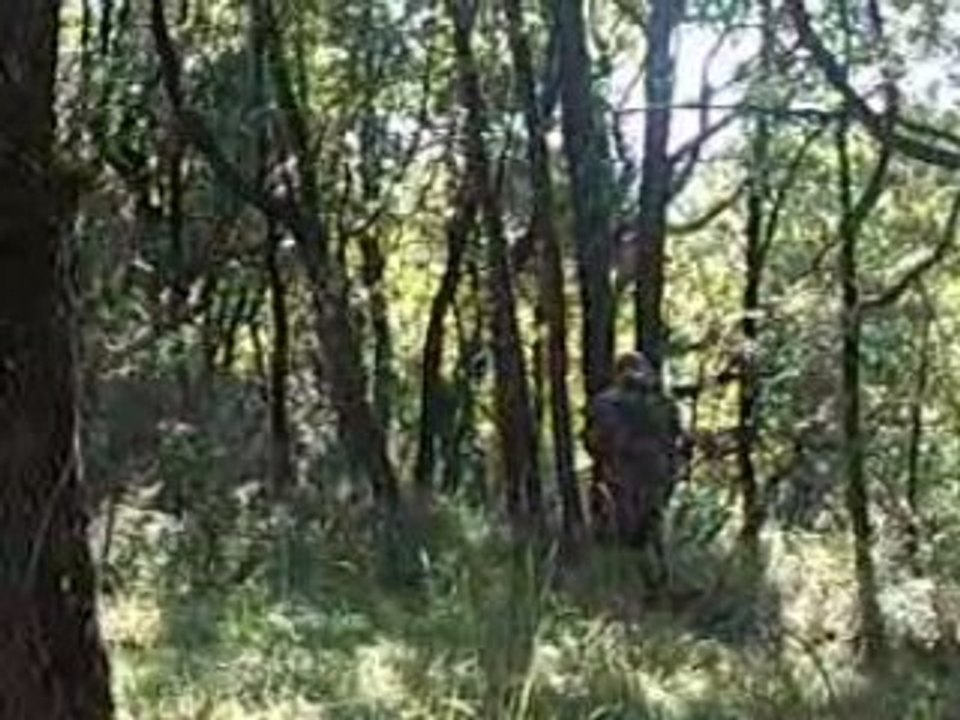 PaintBall - Dimanche 28 Sept 2008 (3)