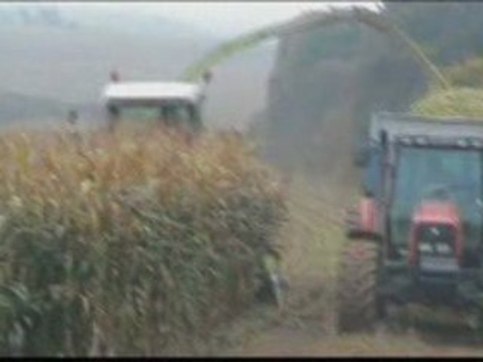 Ensilage01 10 2008