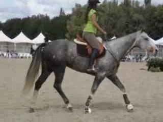 Chloé et Indy démo aux rdv La Cense 2008