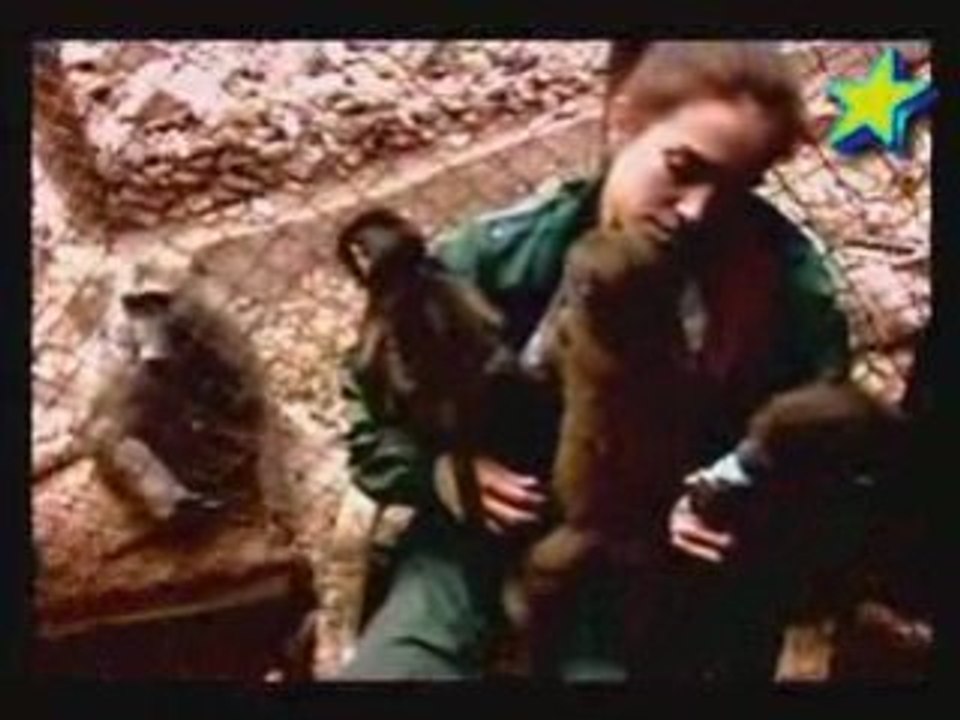 Une nouvelle vie pour les petits babouins 2/3