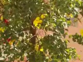 Je fais du vélo !!! 01/10/2008