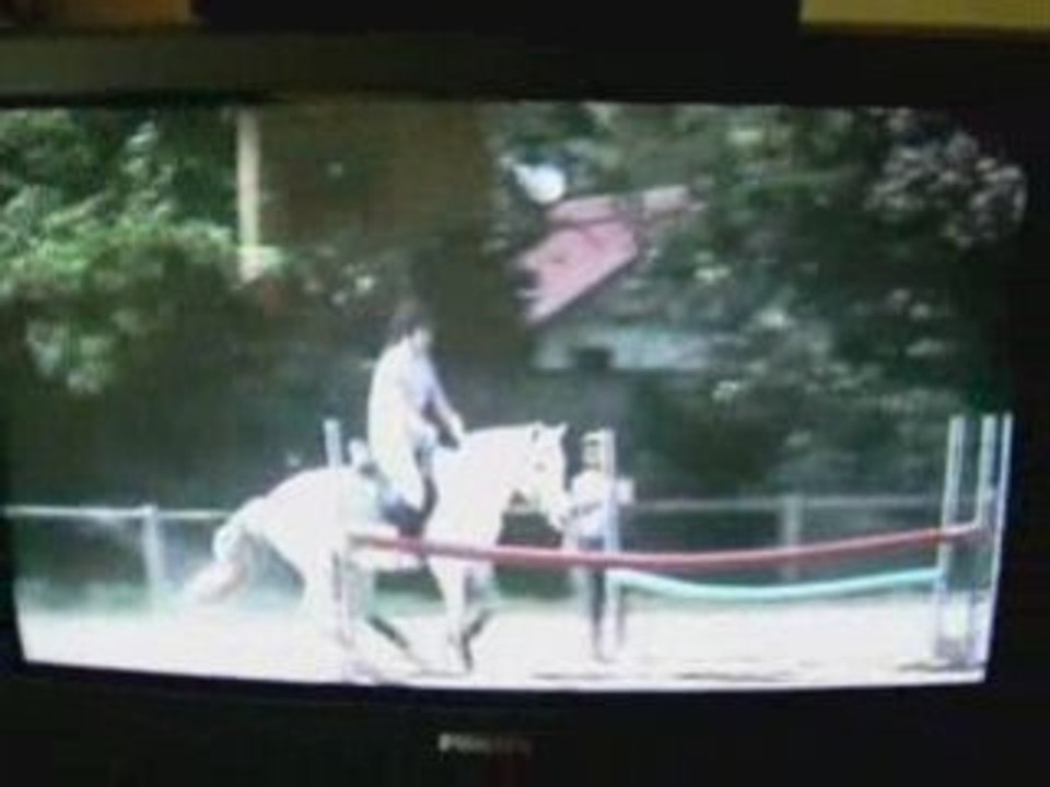 Merci Poney d'mon <3