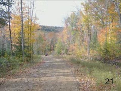 Notre dame de la merci