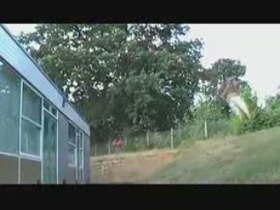 Chase Armitage - Professional Parkour and Freerun performer.