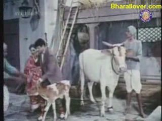 Khandan 1965 - Kal Chaman Tha WWW.BHARATLOVER.COM
