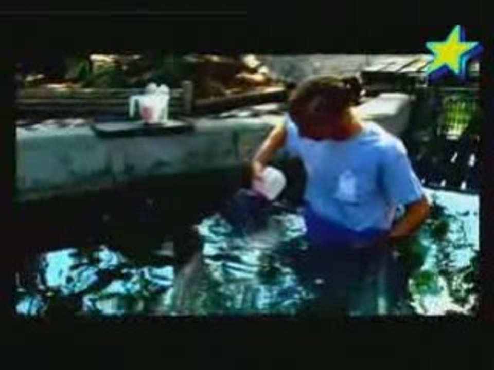 Zoo nursery Ep2 3/3