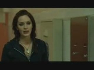 Sunshine Cleaning - Trailer