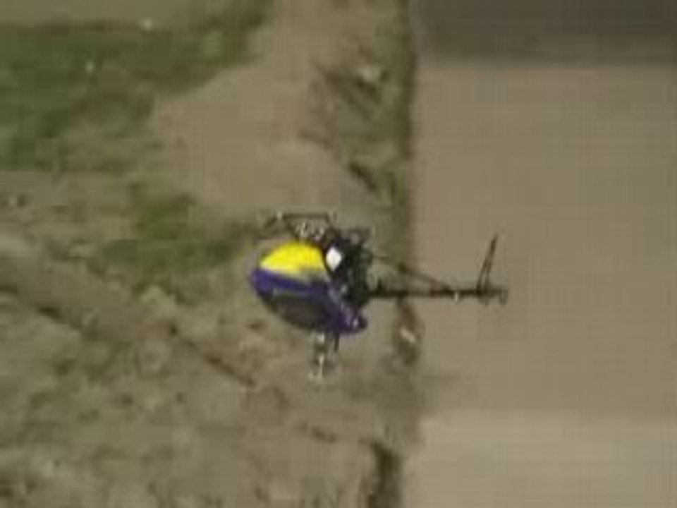T-rex 250 3D flight