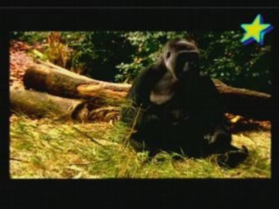 Zoo nursery Ep5 3/3