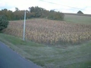 la nature de la campagne