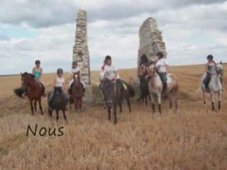 Eté 2008 aux écuries