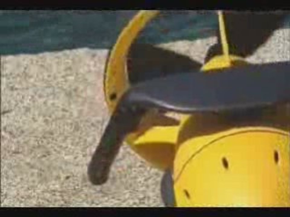 Seadoo