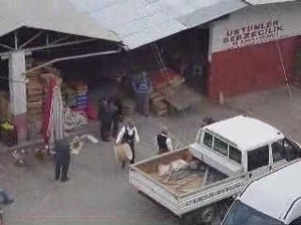 sinop boyabat Davul zurna