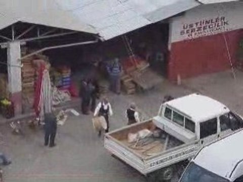 sinop boyabat Davul zurna