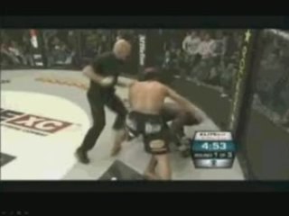 Kimbo Slice vs Ken Shamrock repalcement  Seth Petruzelli