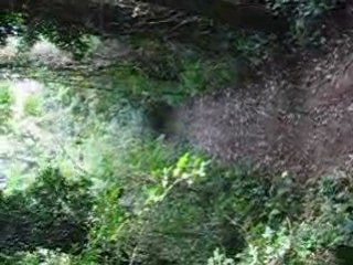 Rando du 04 10 08 019