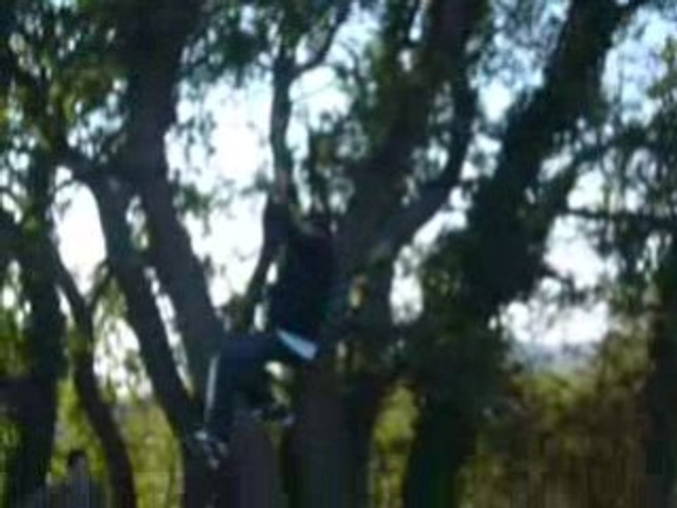 Tarzan 4