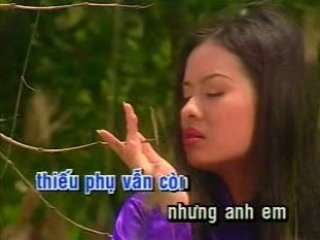 Tâm sự người hát bài quê hương - Trường Vũ