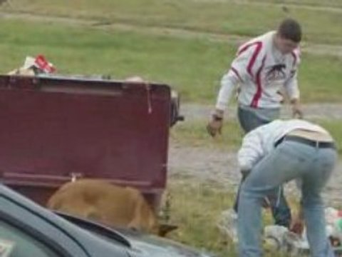 13e GTI TUNING INTERNATIONAL 2008 MAGNY COURS video en hd