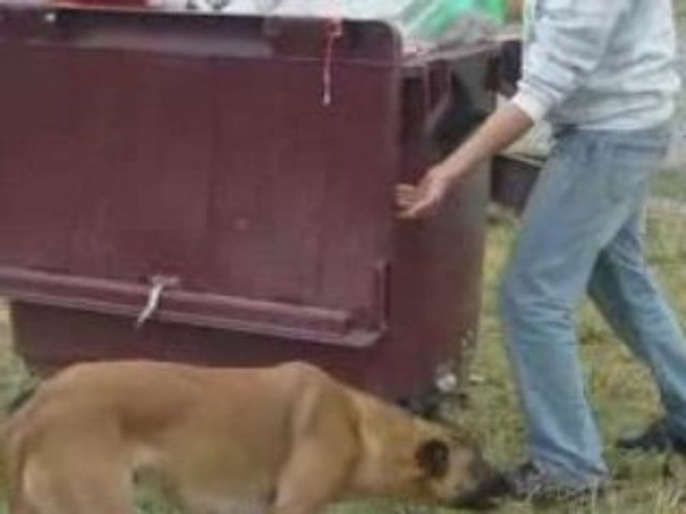 13e GTI TUNING INTERNATIONAL 2008 MAGNY COURS video en hd