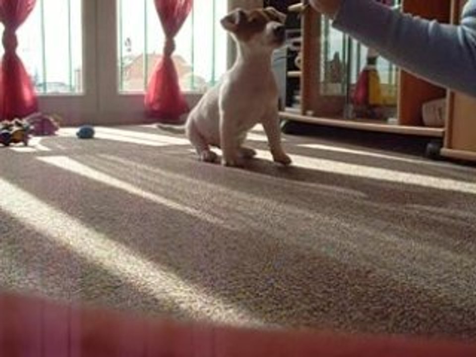 dooky exercices