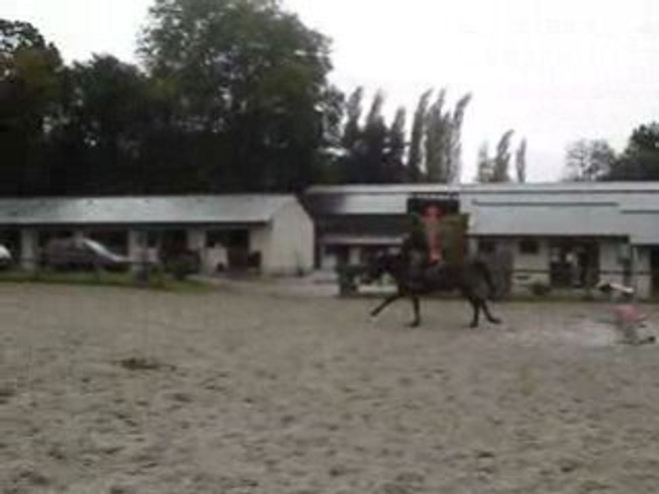 MOV01877